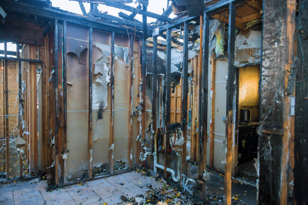 Professional Fire Damage Removal technician working in Frankfort Square, IL